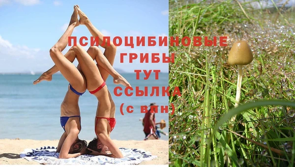 кокаин перу Каменка